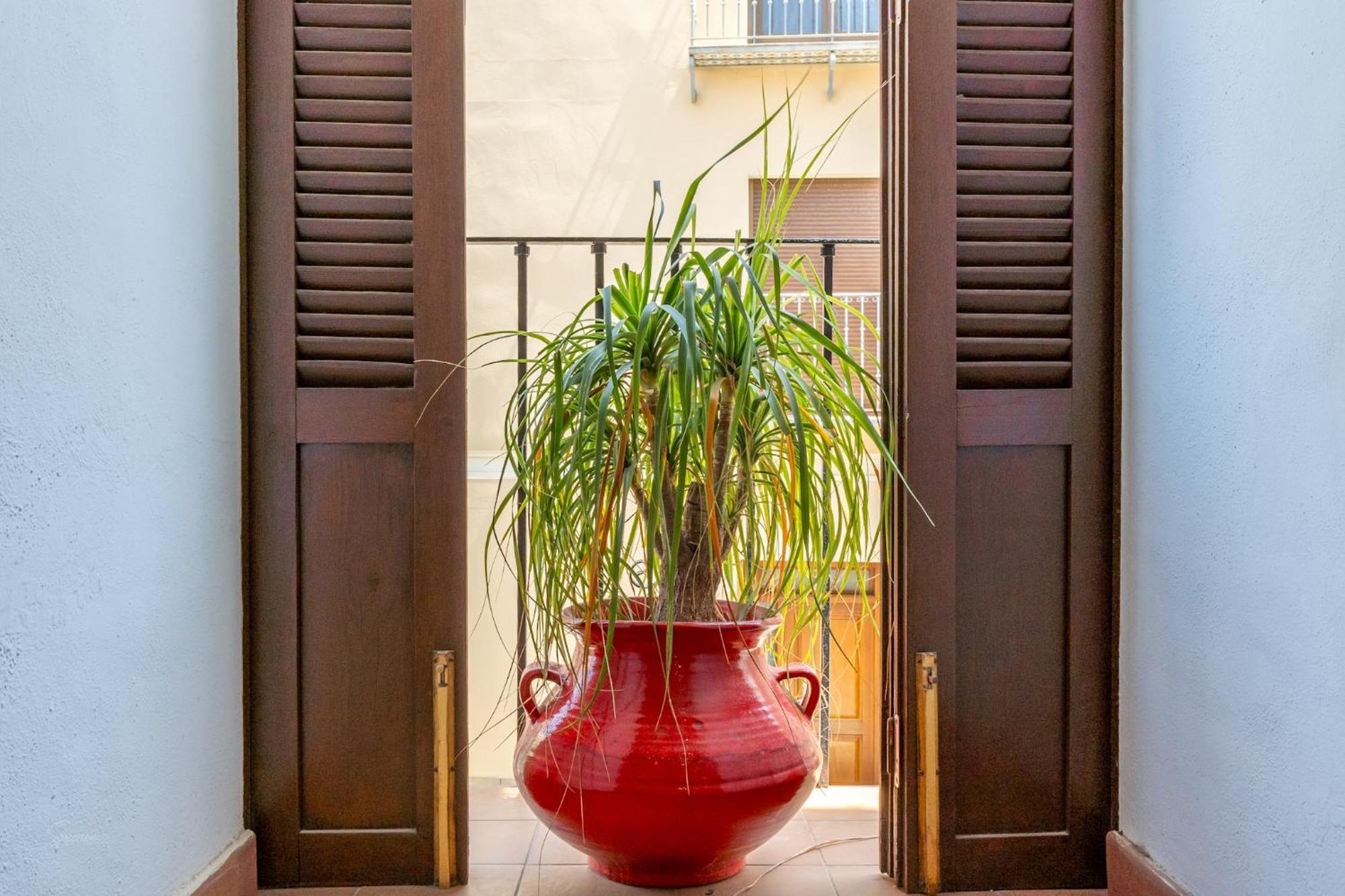 Denia Townhouse Apartment Ngoại thất bức ảnh